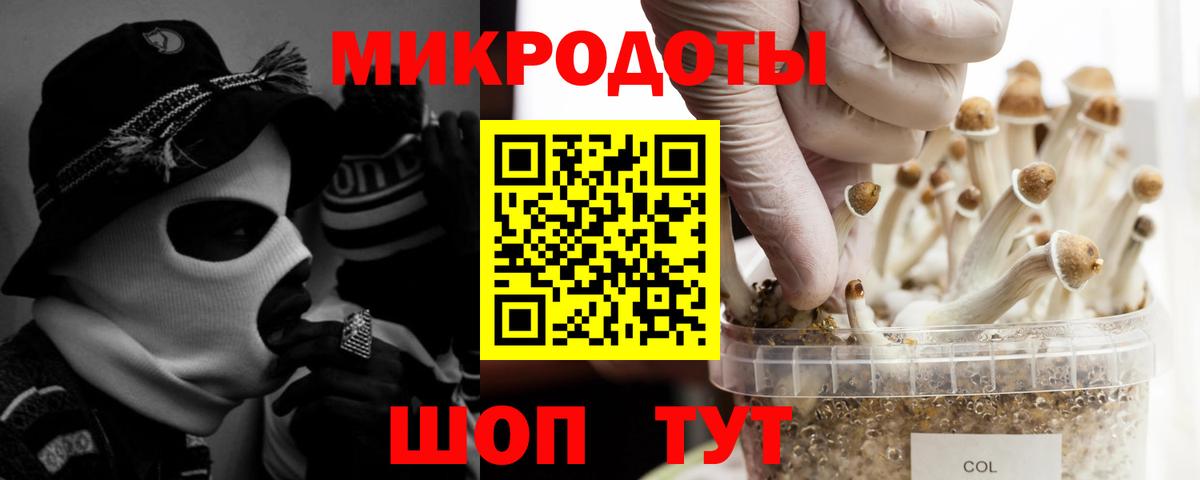 как найти закладки  Галлюциногенные грибы прущие грибы  Вход с VPN  Дюртюли 